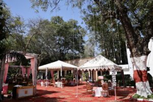 whatsapp image 2025 08 19 at 12.49.47 (1)